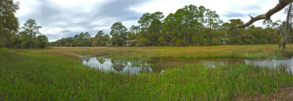 3143 Seabrook Island Road Seabrook Island, SC 29455 - Photo 6 of 28 MLS_IMG_5359_f2