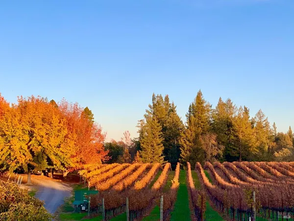 $1,995,000 | 4605 Gravenstein Highway North, Sebastopol, CA 95472