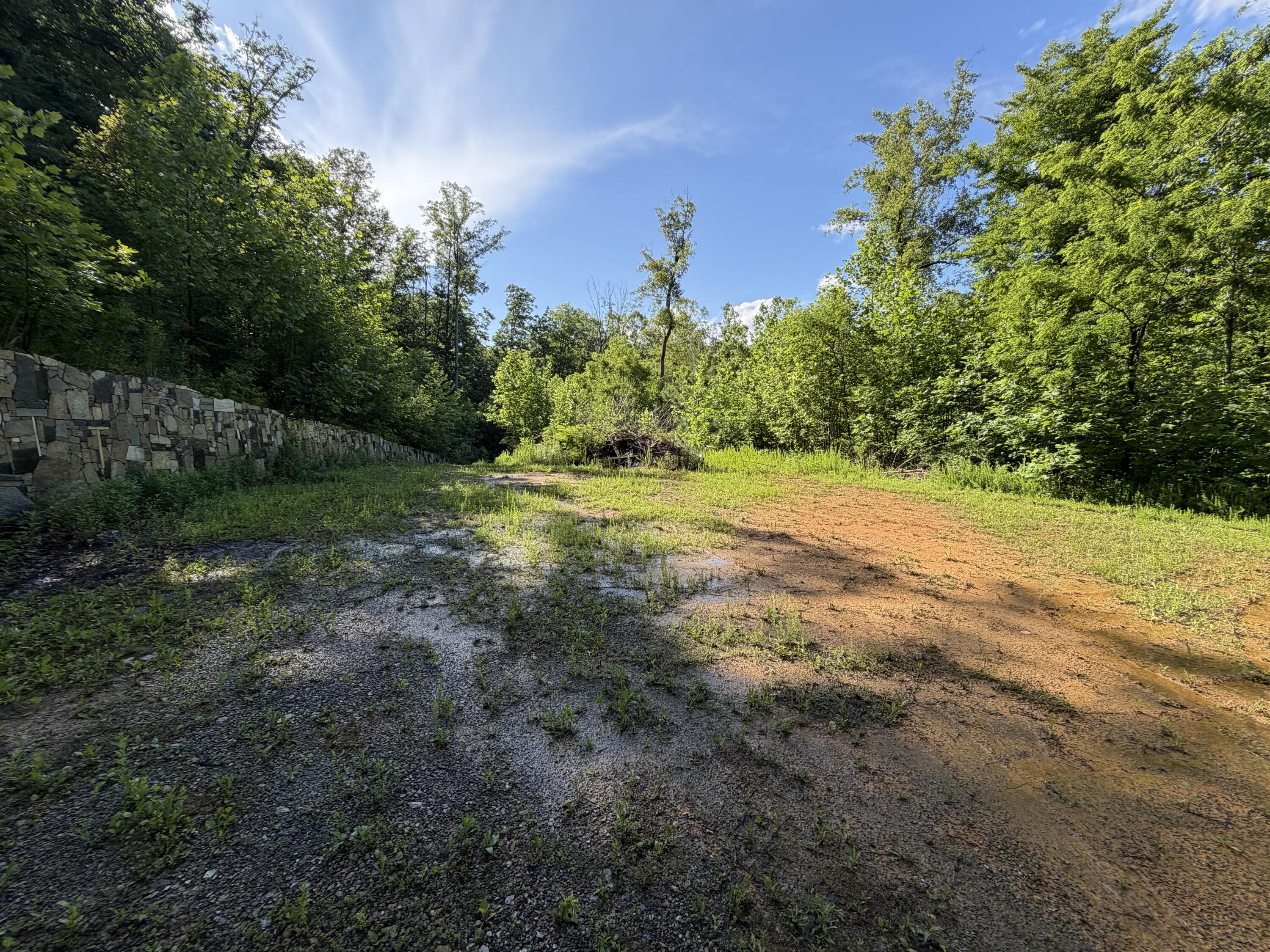 0 Lake Road Troutville, VA 24175 - Photo 8 of 18 a view of a yard with an tree