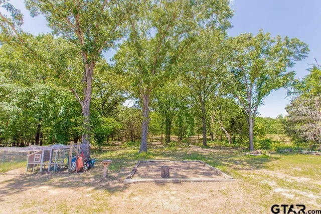 a view of a backyard with large trees