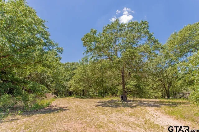 a view of a yard with a tree