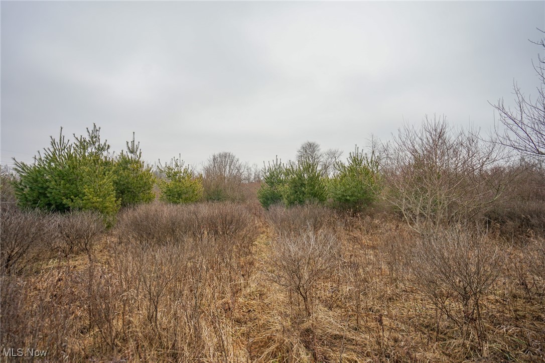 Red Lane Road Cumberland, OH 43732 - Photo 4 of 18 View of landscape