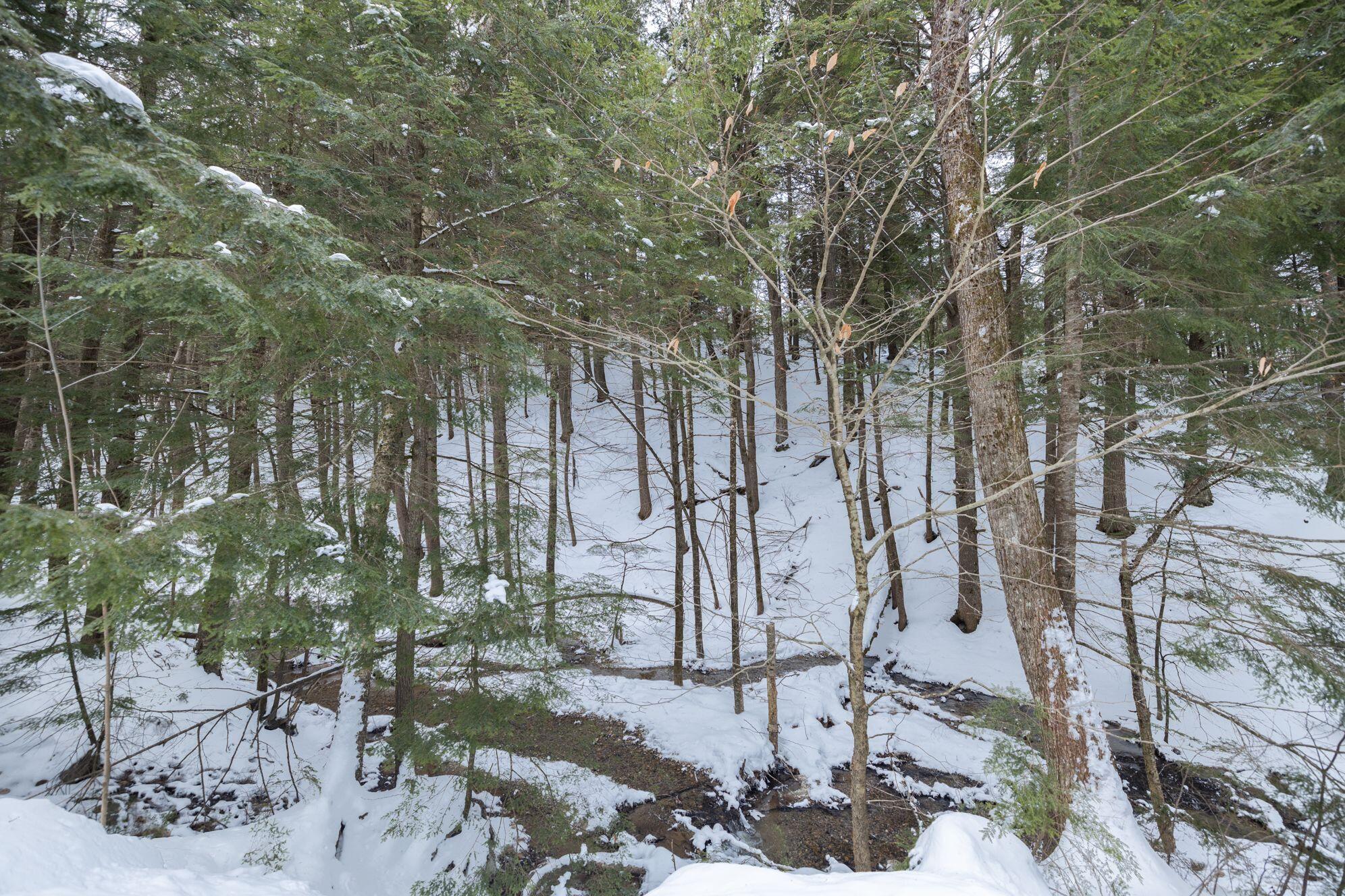 Tbd Saddleback Road West Baldwin, ME 04091 - Photo 2 of 8 1