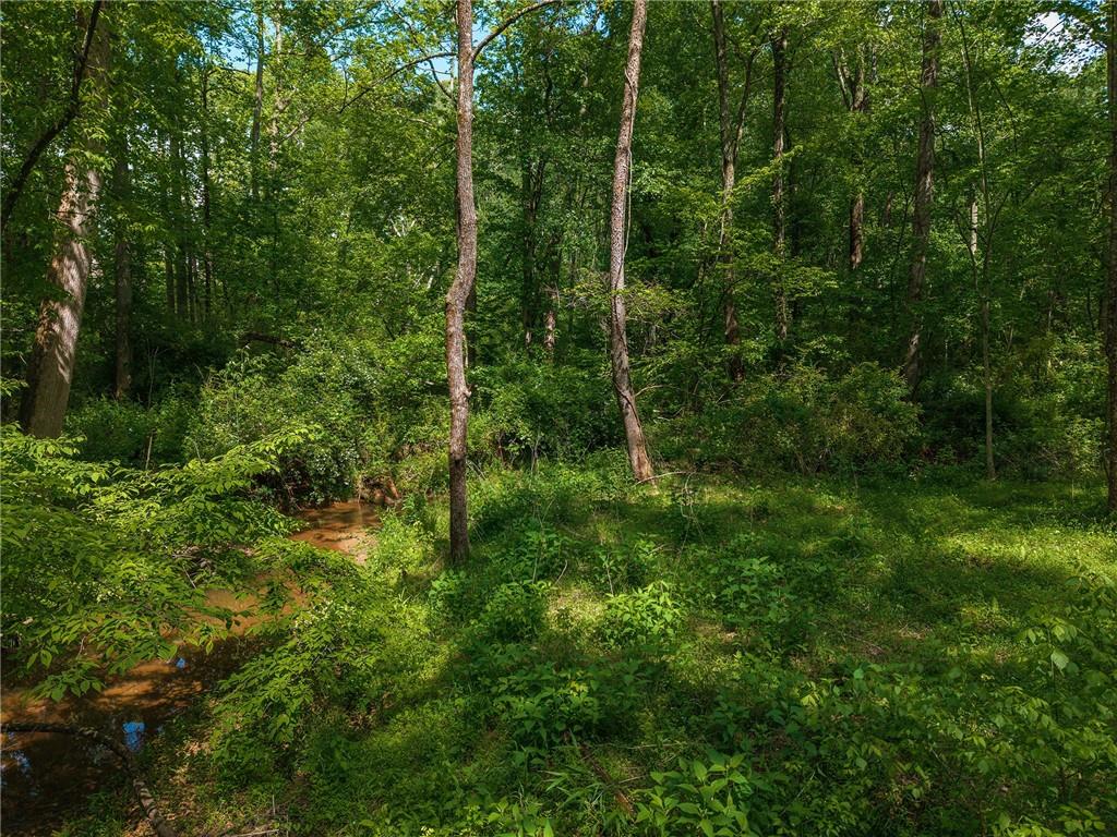 392 London Road Ball Ground, GA 30107 - Photo 42 of 53 a view of a lush green forest