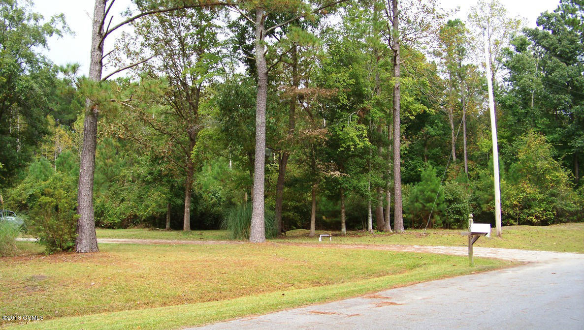 101 Ridgewood Trail New Bern, NC 28560 - Photo 7 of 36 Plenty of Privacy