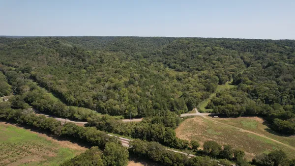 a view of a bunch of trees and bushes