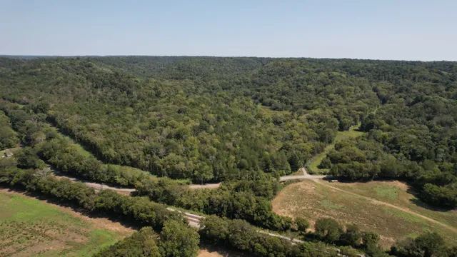 a view of a bunch of trees and bushes