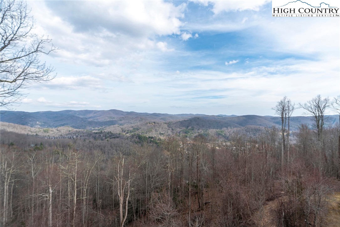 337 Indian Paintbrush Drive, Unit R431 Banner Elk, NC 28604 - Photo 12 of 40