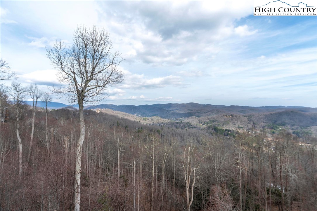 337 Indian Paintbrush Drive, Unit R431 Banner Elk, NC 28604 - Photo 14 of 40