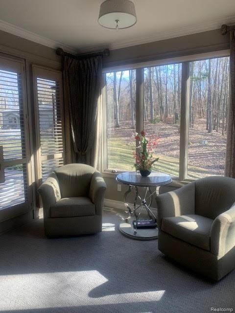 4724 Hough Road Dryden, MI 48428 - Photo 26 of 63 Master sitting room.jpg