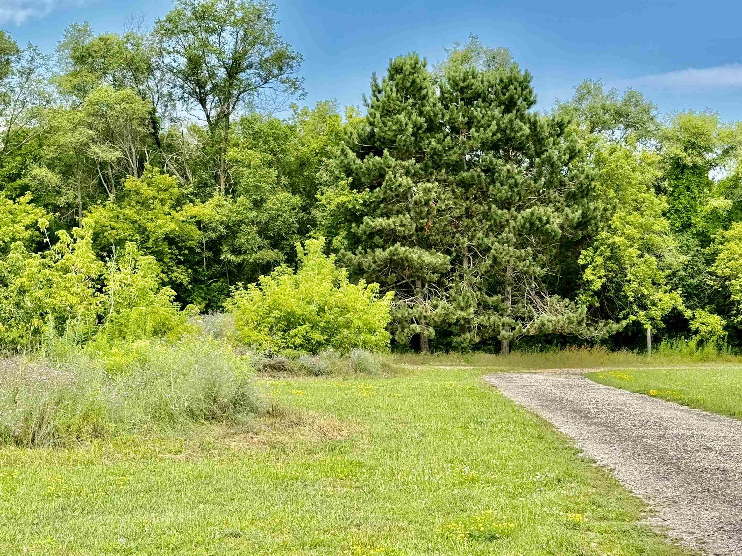 1429 Dale Road Beaverton, MI 48612 - Photo 34 of 55