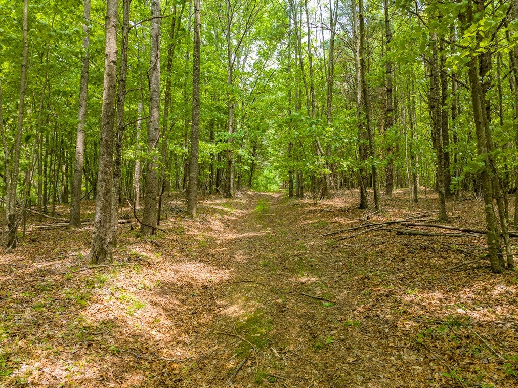 Tbd Apache Road, Unit 2 Woodlawn, VA 24381 - Photo 21 of 48 Gallery Image 21