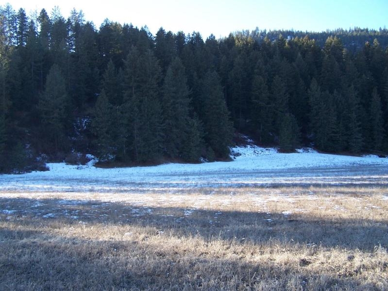 267 B Aladdin Road Colville, WA 99114 - Photo 29 of 32