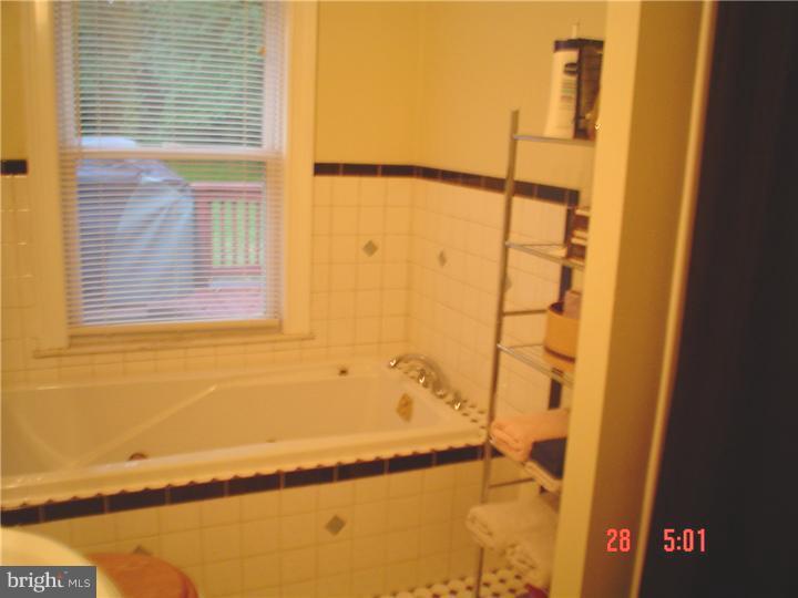 787 Hawks Bridge Road Salem, NJ 08079 - Photo 14 of 21 Bathroom