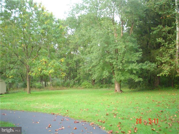 787 Hawks Bridge Road Salem, NJ 08079 - Photo 19 of 21 Back Yard