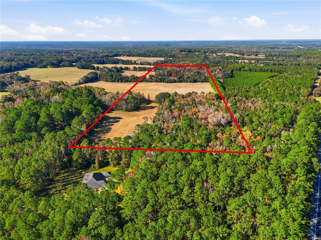 Old Bellamy Road High Springs, FL 32643 - Photo 4 of 13 Gallery Image 4