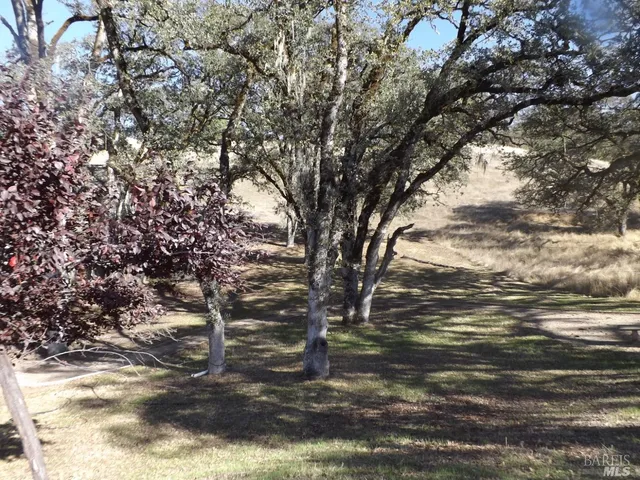 a view of outdoor space with yard