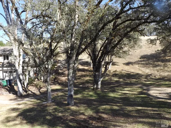 a view of outdoor space with trees