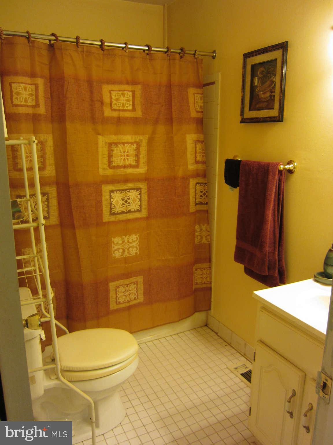 8243 Vosges Road Baltimore, MD 21208 - Photo 8 of 12 Bath (Master)