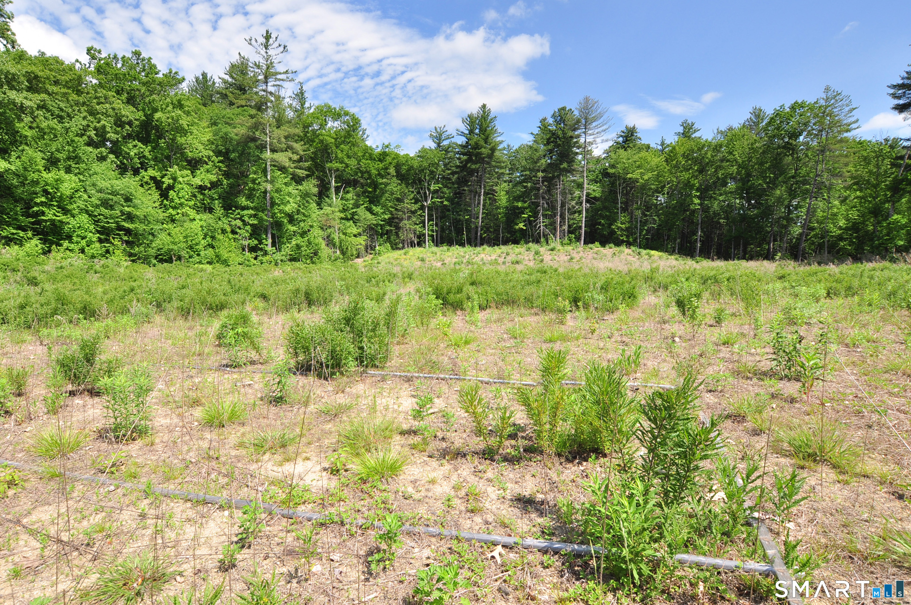 24 Peck Orchard Road Granby, CT 06060 - Photo 10 of 35