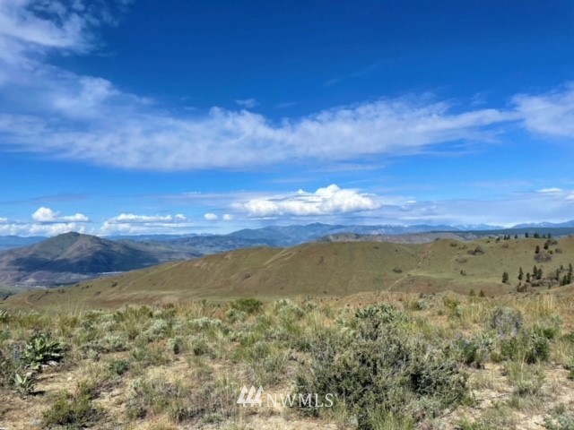-nna Rd C Orondo, WA 98843 - Photo 11 of 18 Gallery Image 11