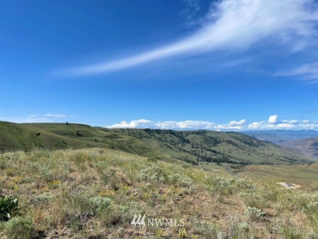 -nna Rd C Orondo, WA 98843 - Photo 12 of 18 Gallery Image 12