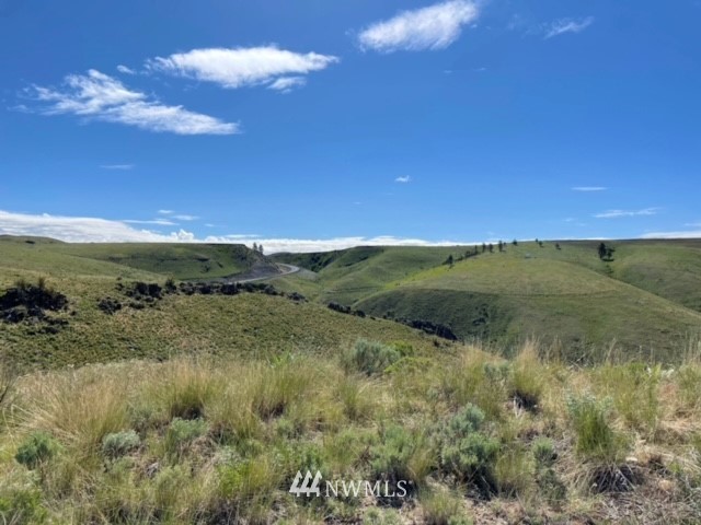 -nna Rd C Orondo, WA 98843 - Photo 13 of 18 Gallery Image 13