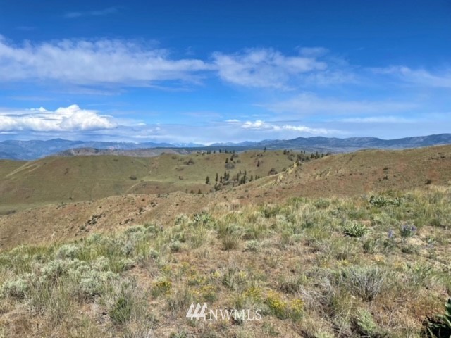 -nna Rd C Orondo, WA 98843 - Photo 15 of 18 Gallery Image 15