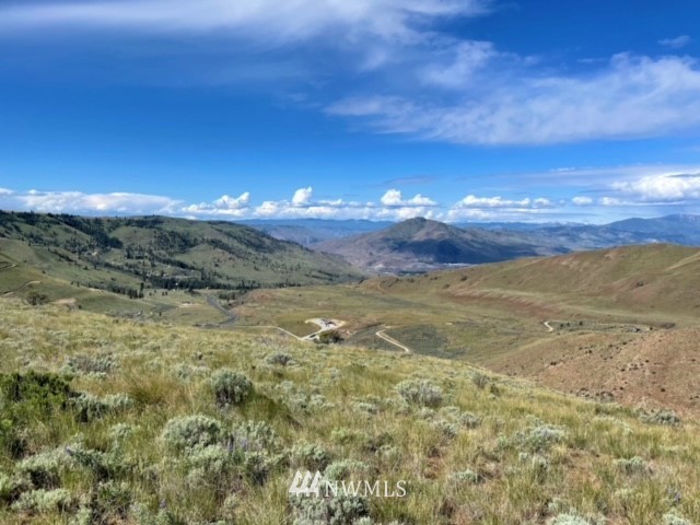 -nna Rd C Orondo, WA 98843 - Photo 16 of 18 Gallery Image 16