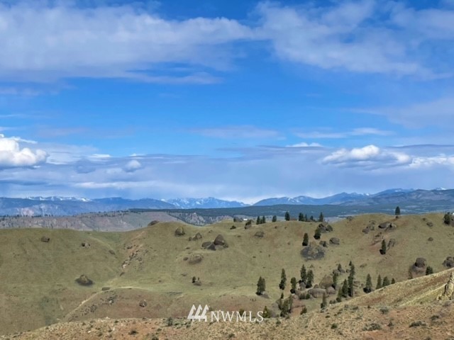 -nna Rd C Orondo, WA 98843 - Photo 18 of 18 Gallery Image 18