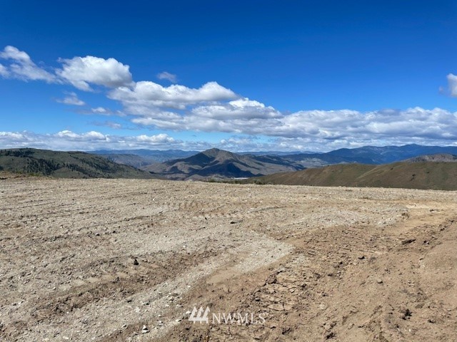-nna Rd C Orondo, WA 98843 - Photo 4 of 18 Gallery Image 4