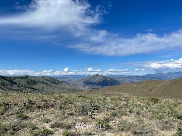 -nna Rd C Orondo, WA 98843 - Photo 9 of 18 Gallery Image 9