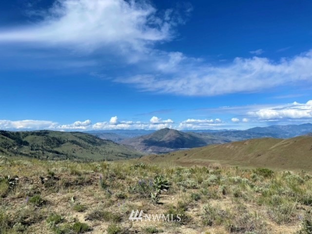 -nna Rd C Orondo, WA 98843 - Photo 10 of 18 Gallery Image 10
