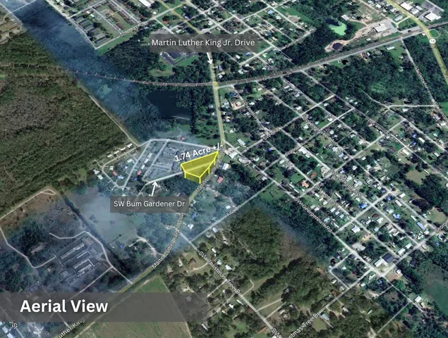 $39,000 | Lot 7 Southwest Bum Gardener Drive, Madison, FL 32340