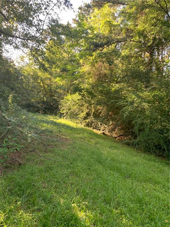 19169 La Tung Road Covington, LA 70435 - Photo 4 of 12 Gallery Image 4