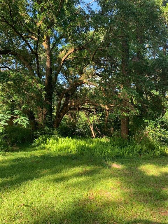19169 La Tung Road Covington, LA 70435 - Photo 8 of 12 Gallery Image 8