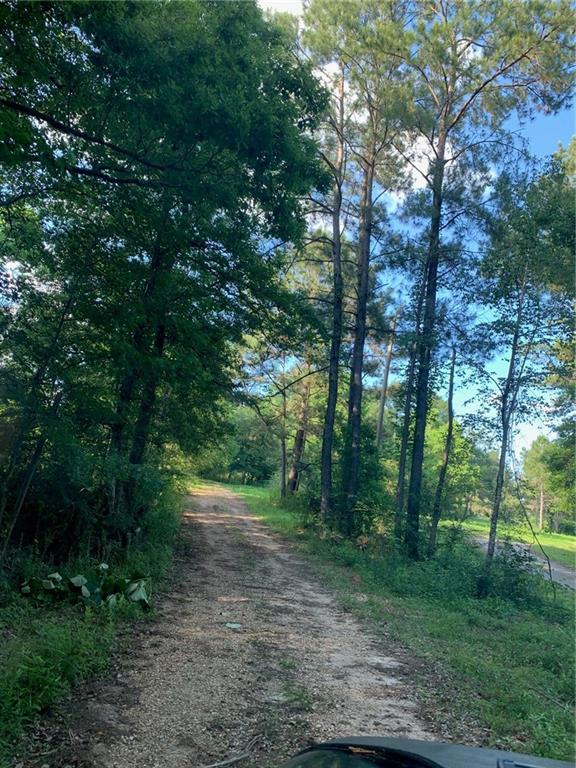 19169 La Tung Road Covington, LA 70435 - Photo 9 of 12 Gallery Image 9