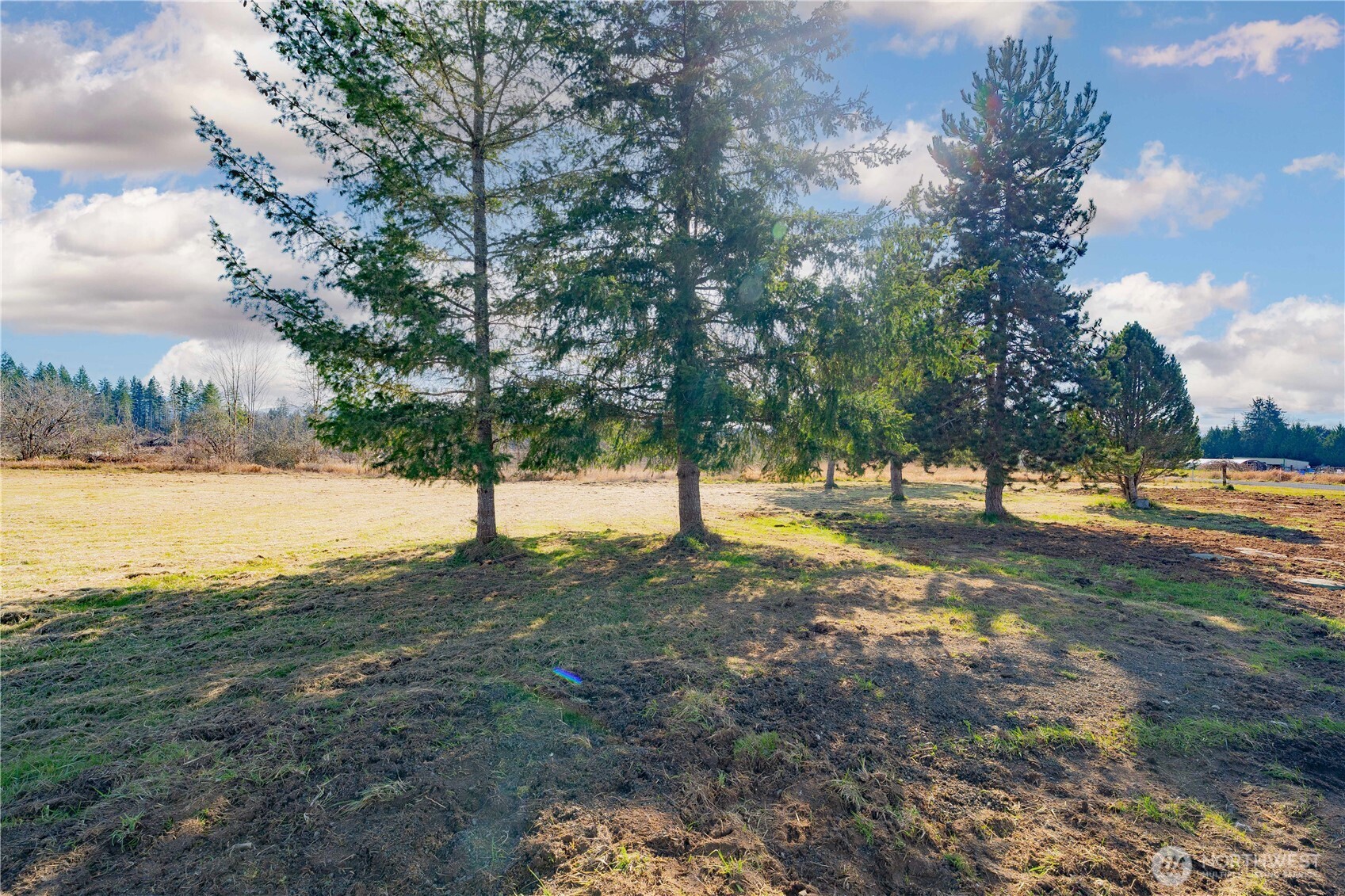 152 Mask Lane Toutle, WA 98649 - Photo 39 of 39