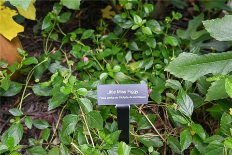 $1,190,000 | 2067 Fairhaven Circle Northeast, Atlanta, GA 30305