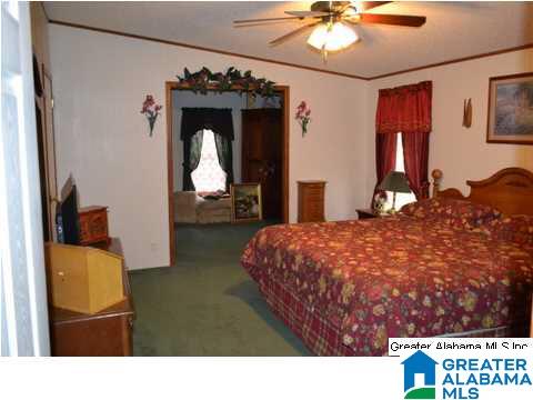 401 Old Settlement Road Oneonta, AL 35121 - Photo 10 of 28