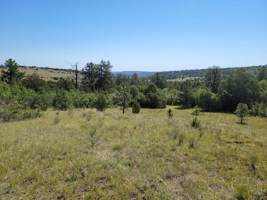 Tbd Haynes Road South Beulah, CO 81023 - Photo 2 of 17