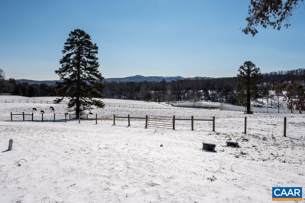 1125 Shiloh Road Charlottesville, VA 22903 - Photo 44 of 52