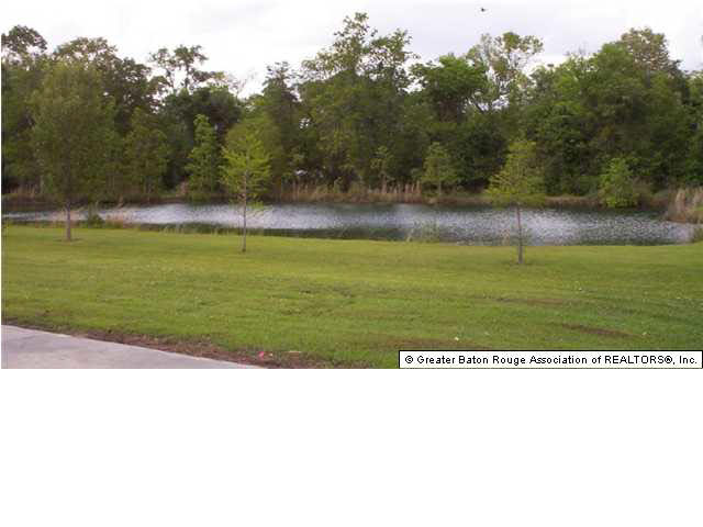 14045 Bert Allen Road Gonzales, LA 70737 - Photo 3 of 4 Gallery Image 3