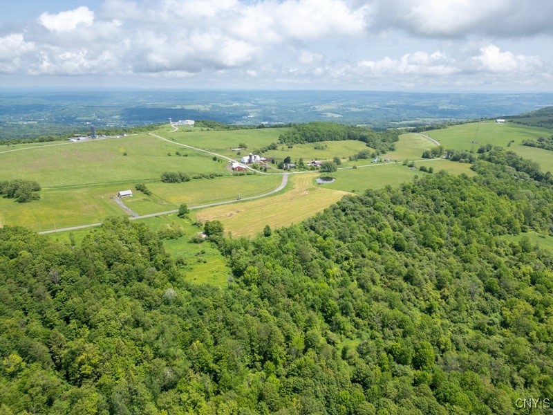 Grande View Drive Poland, NY 13431 - Photo 12 of 15