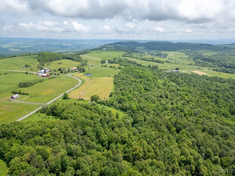 Grande View Drive Poland, NY 13431 - Photo 13 of 15