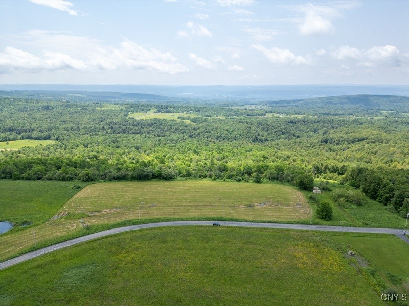 Grande View Drive Poland, NY 13431 - Photo 3 of 15