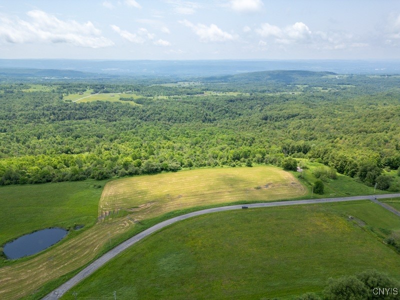 Grande View Drive Poland, NY 13431 - Photo 4 of 15