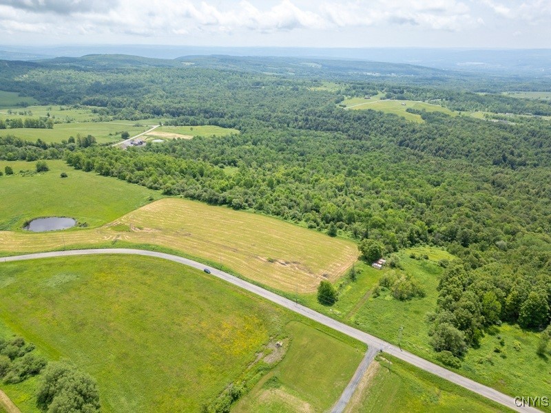 Grande View Drive Poland, NY 13431 - Photo 6 of 15