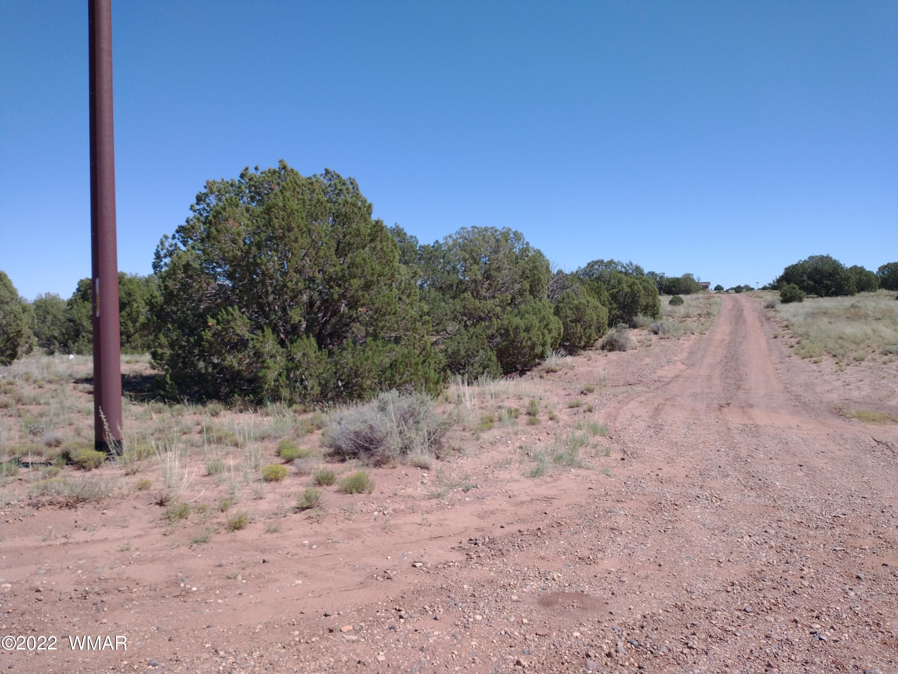4505 Indian Bend Road Snowflake, AZ 85937 - Photo 5 of 14 a view of a dry yard with trees in the background