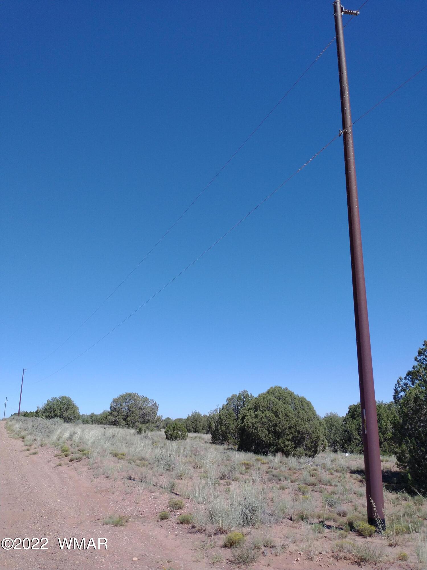 4505 Indian Bend Road Snowflake, AZ 85937 - Photo 6 of 14 a view of a dry yard with trees in the background